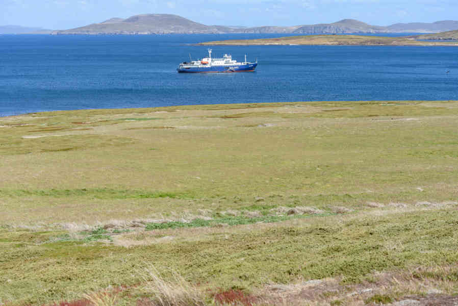 Islas Falkland o Malvinas 061 - New Island.jpg